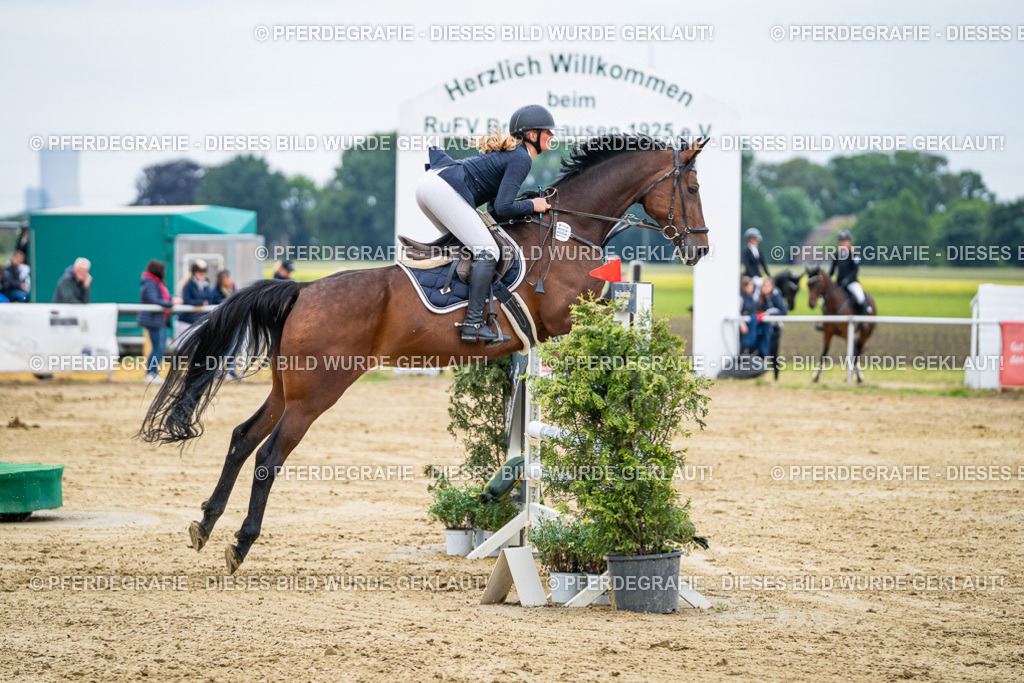 DSC06340 | Pferdegrafie