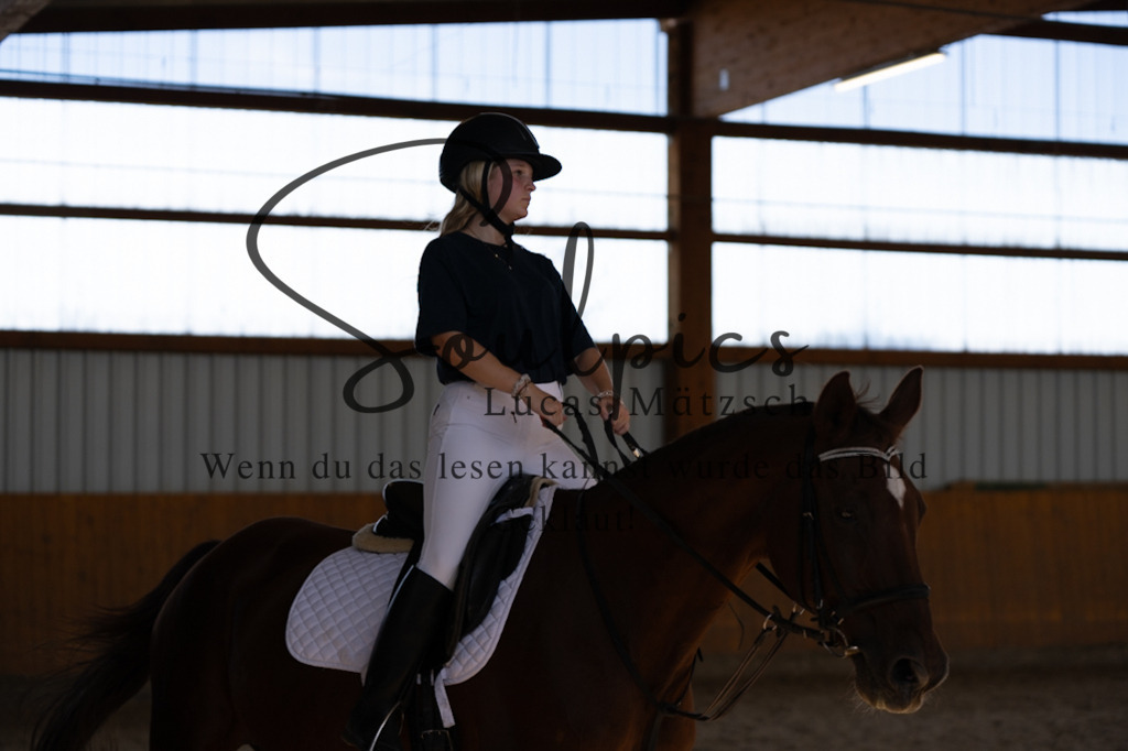 A7V02175 | Turnier/Reitfotograf