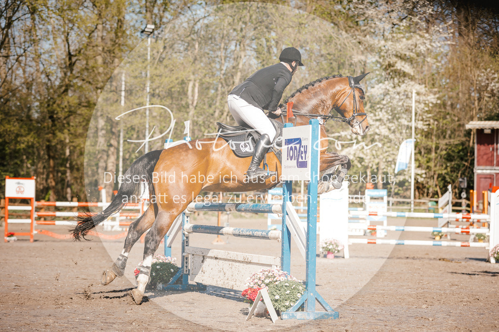 3I6A3690 | Stimmungsvolle Portraits und Reitsportfotografie im Ruhrgebiet und im Münsterland.

Pferdefotografie, Hundefotografie, Tierfotografie, Reportagen, Portraits von Tier und Mensch, Turnierfotografie in Bochum, Recklinghausen, Marl, Haltern am See, Dülmen.. - Realisiert mit Pictrs.com