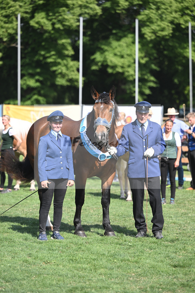 Kat-Nr. 50 Nockerl_HLG Schwaiganger_20231596 | hf-fotografie - Realisiert mit Pictrs.com