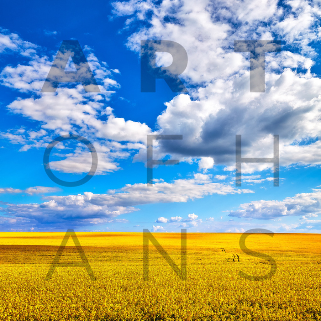 Ein Hans Fineart Original | Entdecke die Kunst von Hans Fineart - Fotografien für dein Zuhause. Verwandle deine Wände mit einzigartigen Kunstwerken und bringe die Schönheit der Welt in dein Leben. Bestelle jetzt und schaffe einen Ort der Inspiration und Eleganz.