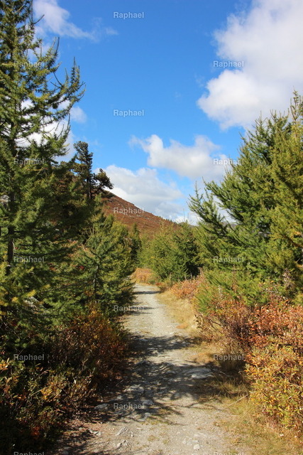 IMG_3548 | Raphael - Realisiert mit Pictrs.com