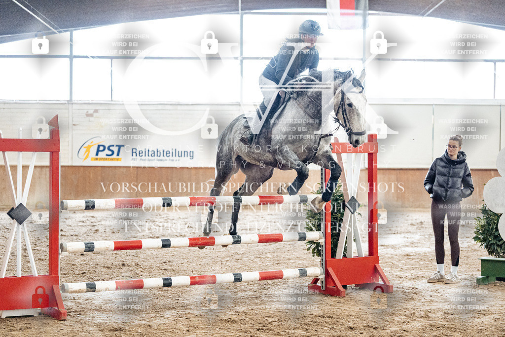 CK906335 | Turnierfotografie Pferdefotografie Trier Rheinland-Pfalz Pferdesport Reitsport Tierfotografie Sportfotografie Pferdevideo Pferdevideografie Equestrianvideography equestrianphotography  - Realized with Pictrs.com