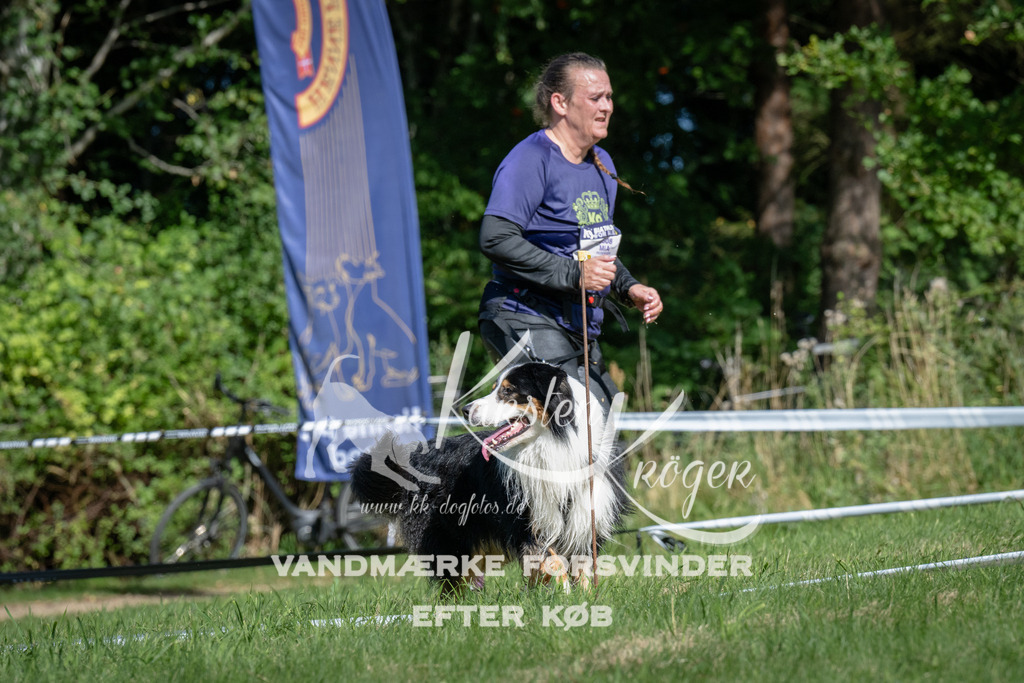 1036_ZZ98837 | kk-dogfotos