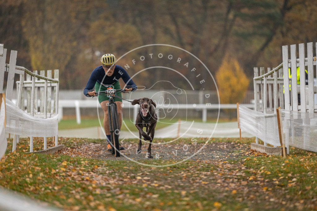 CaniXpix_DV3A7436 | Hundefotografie, Tierfotograf, Pfotenfotografie, Fotoshooting Hund, Hunde Portrait, Hundesport, Hundeportraits, Heideshooting, Hunde, Sportfotograf, Hundefotograf, Turnierhundsport, THS,  - Realisiert mit Pictrs.com