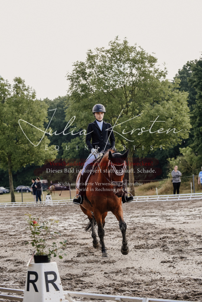 DSC_8159 | Pferde- und Turnierfotografie in Westsachsen. Pferdeportraits, Auftragszeichnungen und intuitive Kunst.