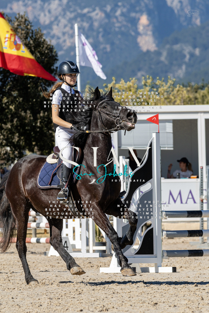 IMG_9272 | s-jay-photography - Realisiert mit Pictrs.com