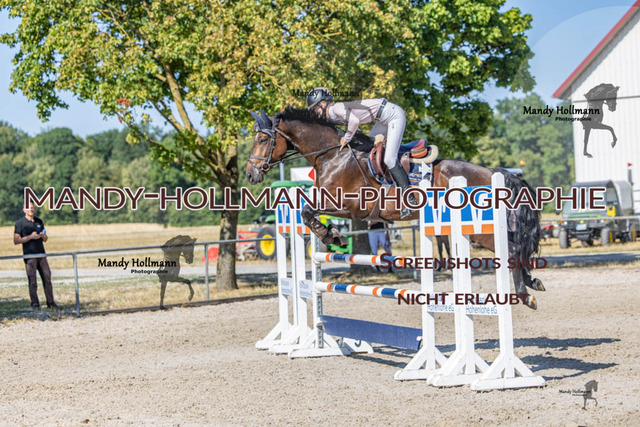 26-7-24 Amateur L-301 | mandyhollmannphotographie