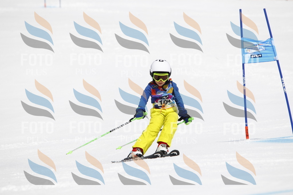 _U3G4831 | holidayphoto