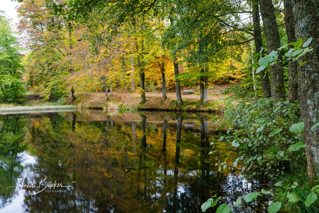 Kleiner Weiher im Wald | Kleiner Weiher im Wald - Realisiert mit Pictrs.com