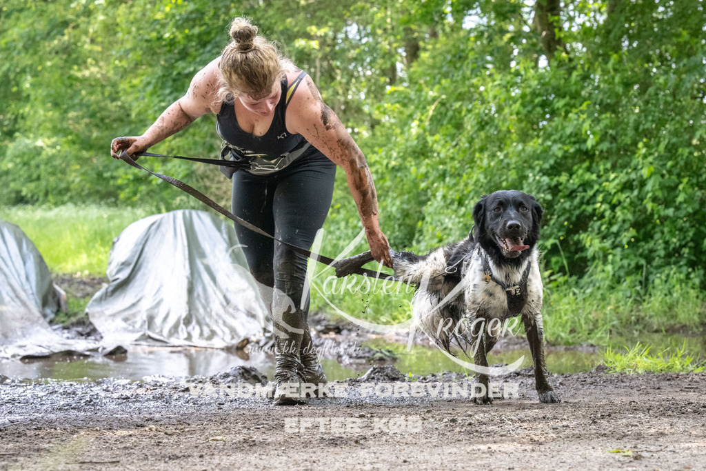 1317_ZZ90757 | kk-dogfotos