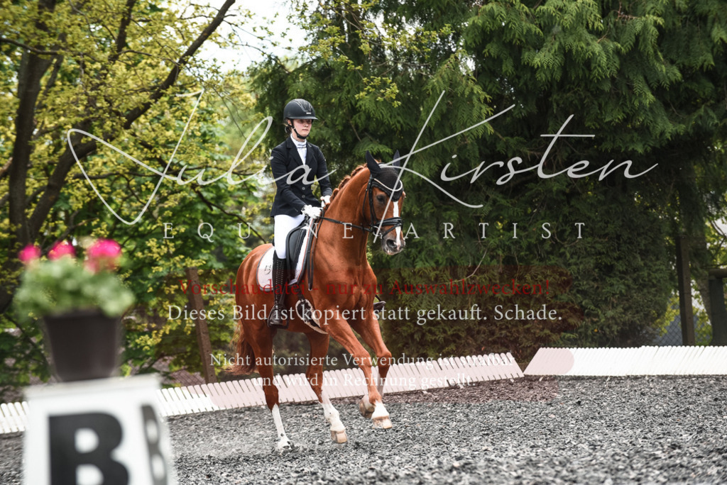 20230514_JK-Röhrsdorf-24-086 | Pferde- und Turnierfotografie in Westsachsen. Pferdeportraits, Auftragszeichnungen und intuitive Kunst.