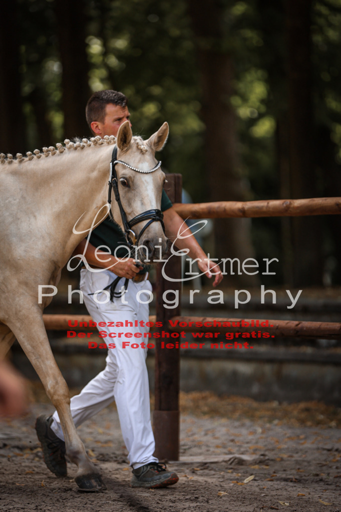 8.So00094 | Leoni Ertmer Photography - Realisiert mit Pictrs.com