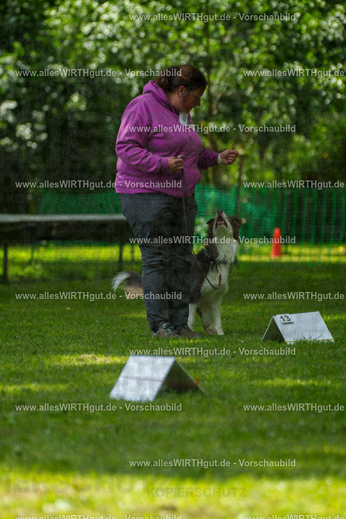 @allesWIRTHgut_Tierfotografie - www.allesWIRTHgut.de - 7R504935 | Professionelle Tierfotografie in Mönchengladbach von Daniel Wirth (allesWIRTHgut). Liebevolle & natürliche Bilder von Hunden & Katzen für unvergessliche Erinnerungen.