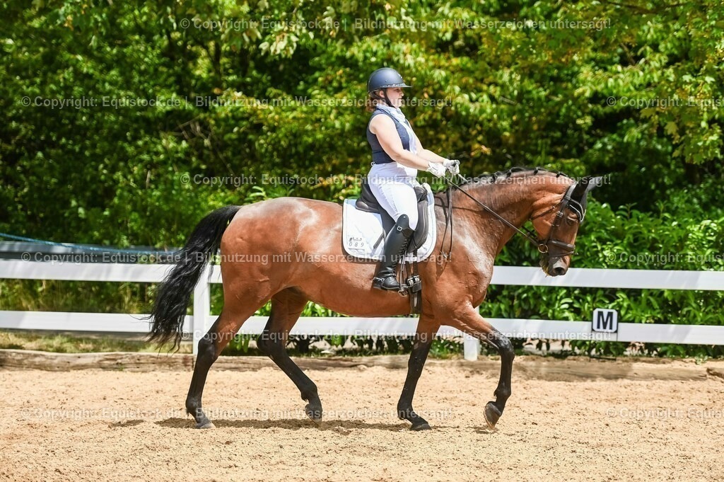 20230715_05_Dressurprüfung Kl.A++_0416 | equistock