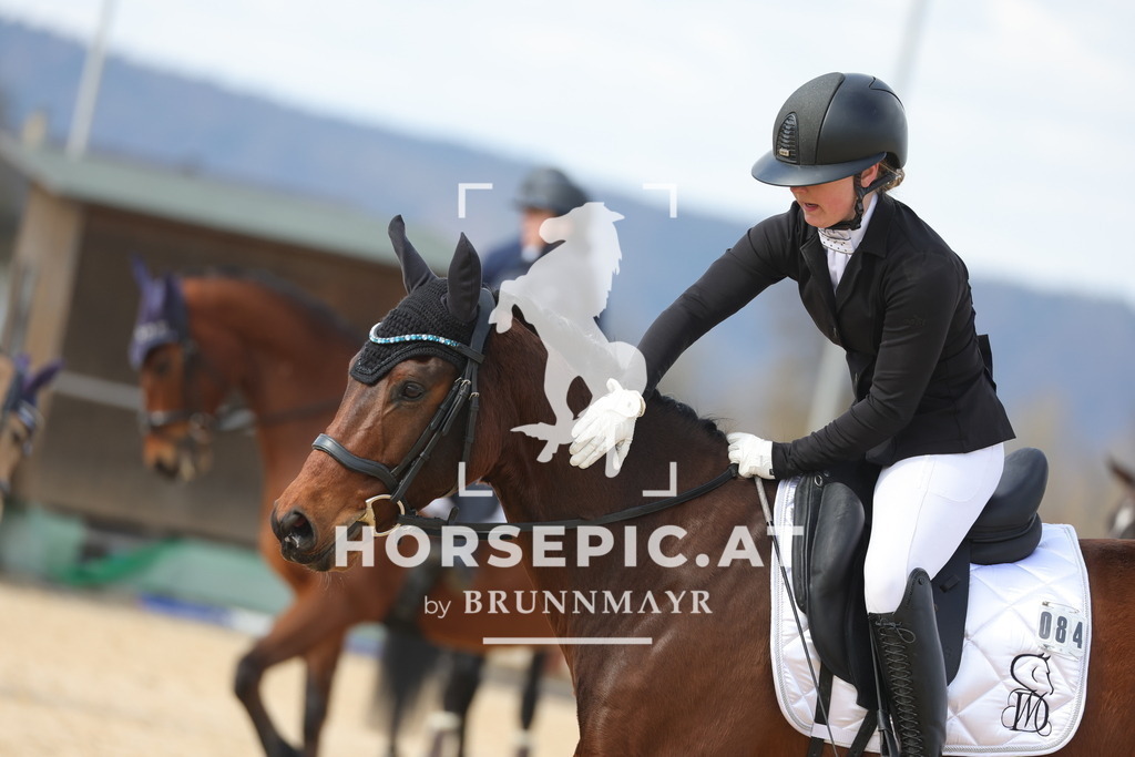 0P6A7481 | Willkommen bei Brunnmayr - Design & Fotografie – Ihrem Spezialisten für Reitturniere und Pferdeveranstaltungen in Oberösterreich, Salzburg und Bayern! Seit über 17 Jahren sind wir leidenschaftlich dabei.