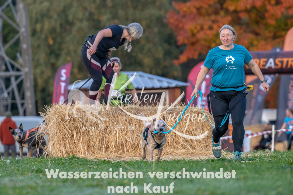 0839_ZZ91069 | kk-dogfotos