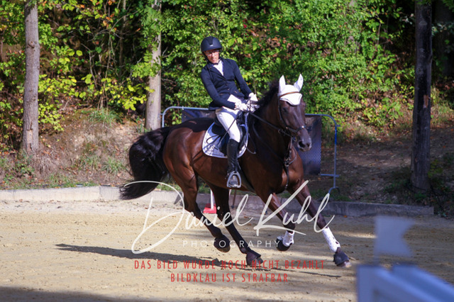 DKP42412 | Turniersportfotografie; Pferdefotografie; Dressurfotografie