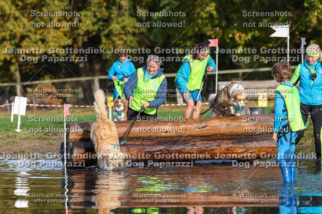 Dog Paparazzi - Strongdog 10-25-8465 | Dog Paparazzi Jeanette Grottendiek Fotografie & Videografie - Realisiert mit Pictrs.com