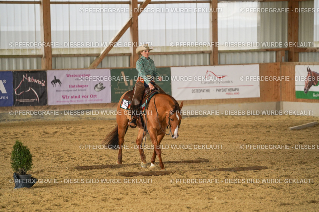 DSC05036 | Pferdegrafie