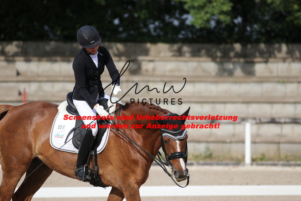 IMG_6313 | lmwpictures - Realisiert mit Pictrs.com