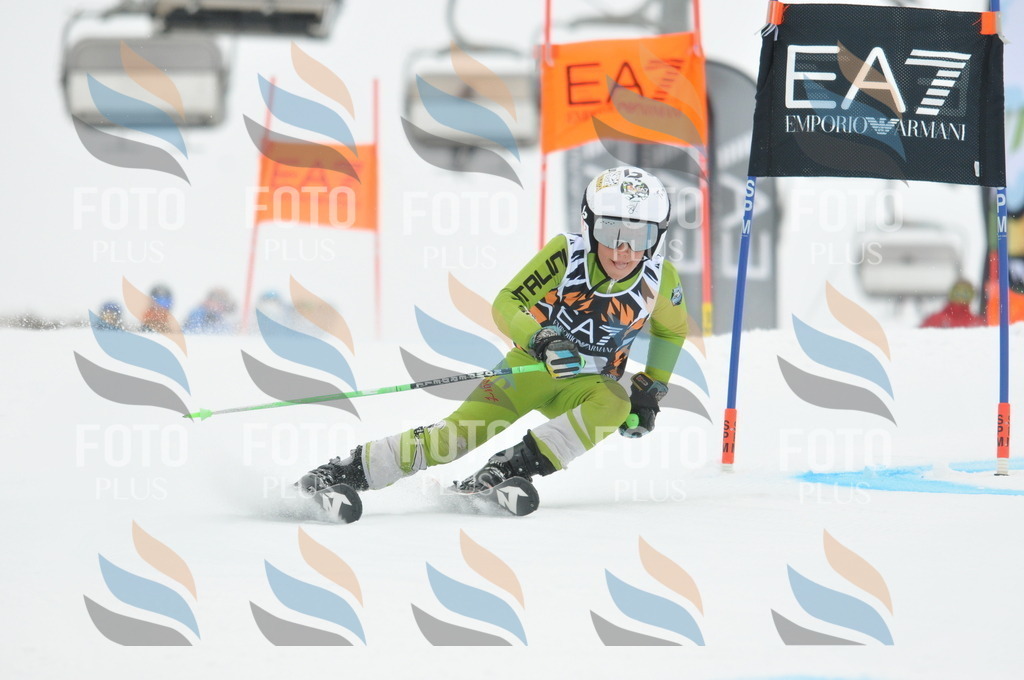 DSC_7849 | holidayphoto