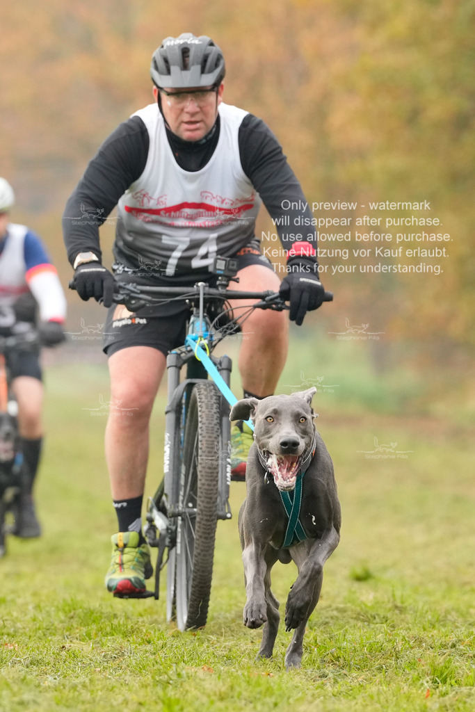 AusschnitteSa-132 | stephaniefillaphotographie - Realisiert mit Pictrs.com