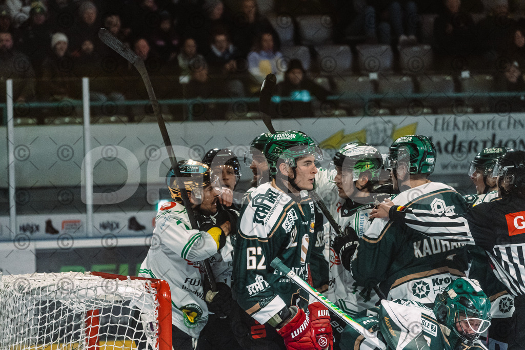 Erding_vs_Alligators_02_01_2026-64 | Höchstadt Alligators Fotogalerie: Eishockey-Action aus Franken. Professionelle Spielfotos, Portraits & Stadionbilder zum Download. Jetzt entdecken! - Realisiert mit Pictrs.com