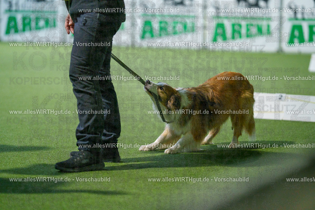 7R509774 | Professionelle Tierfotografie in Mönchengladbach von Daniel Wirth (allesWIRTHgut). Liebevolle & natürliche Bilder von Hunden & Katzen für unvergessliche Erinnerungen.