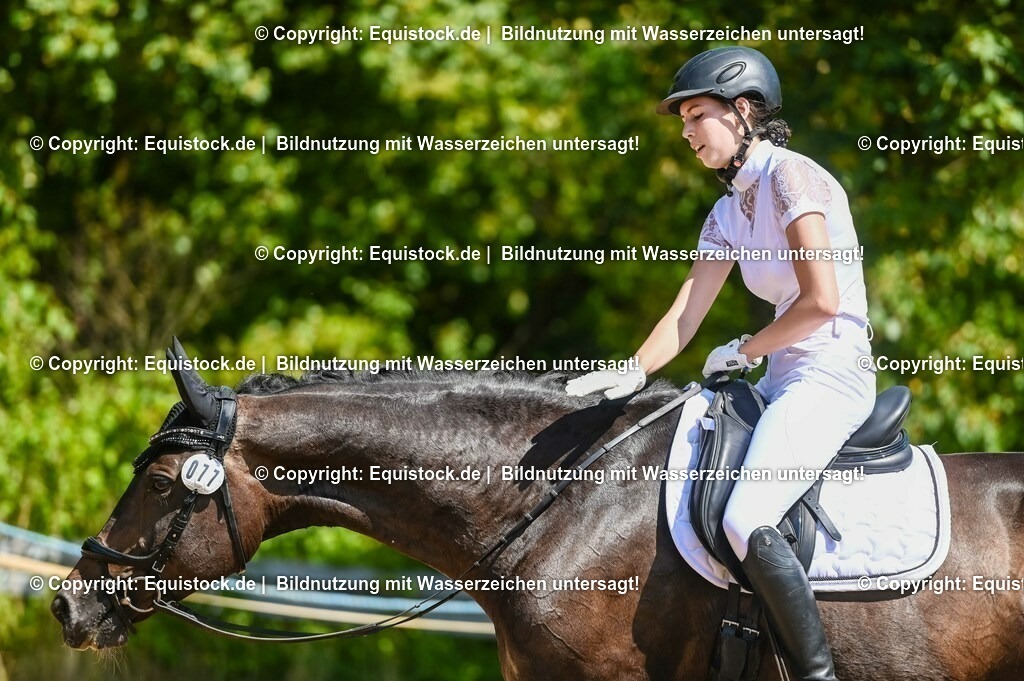 20230715_02_Dressurreiterprüfung Kl.L_0078 | equistock