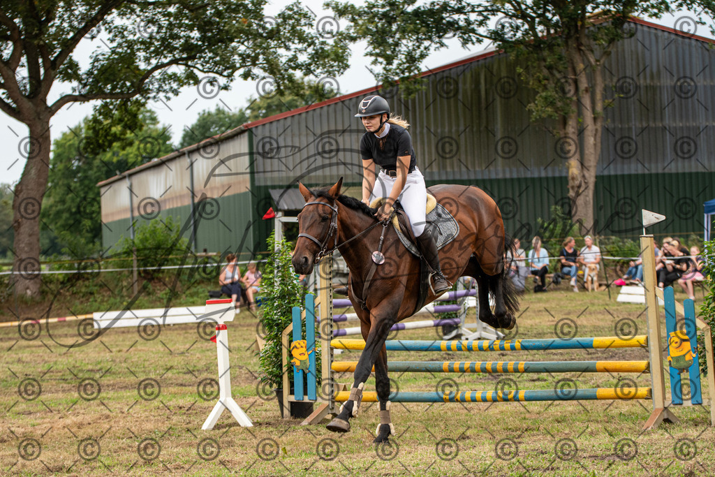 SHT_7600 | andre_photographic