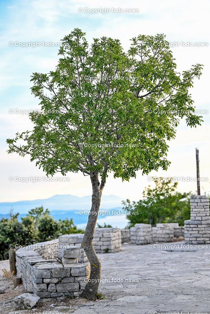 Kroatien_ Brac_ Vidova Gora_ 02.08.2023-10 | 02.08.2023, Kroatien, HRV, Brač, Insel in Dalmatien im Bild Vidova Gora, Berg auf der Insel Brac