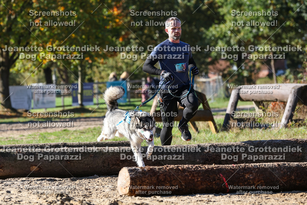 Dog Paparazzi - Strongdog 10-25-2624 | Dog Paparazzi Jeanette Grottendiek Fotografie & Videografie - Realisiert mit Pictrs.com