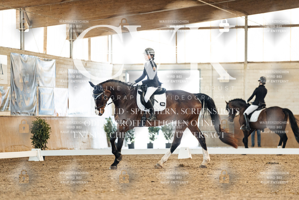 CK908439 | Turnierfotografie Pferdefotografie Trier Rheinland-Pfalz Pferdesport Reitsport Tierfotografie Sportfotografie Pferdevideo Pferdevideografie Equestrianvideography equestrianphotography  - Realisiert mit Pictrs.com