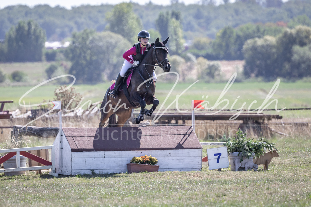 20260906-_3LI4035 | Tierfotografie Pferde, Hunde, Katzen, Haustiere.
Turnierfotografie Reitturniere, Reiten, Springreiten, Dressur in Hanau, dem Main-Kinzig-Kreis und dem Rhein-Main- Gebiet um Frankfurt