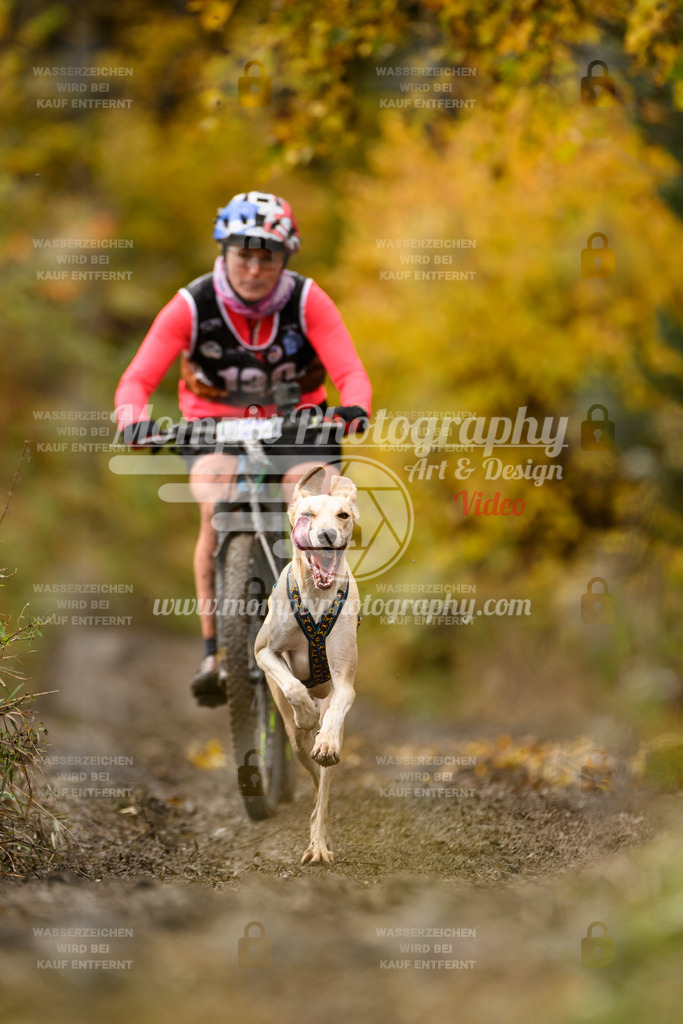 MompixPhotography_ICF_WC_2024_SA_Bike_-134 | PayLife