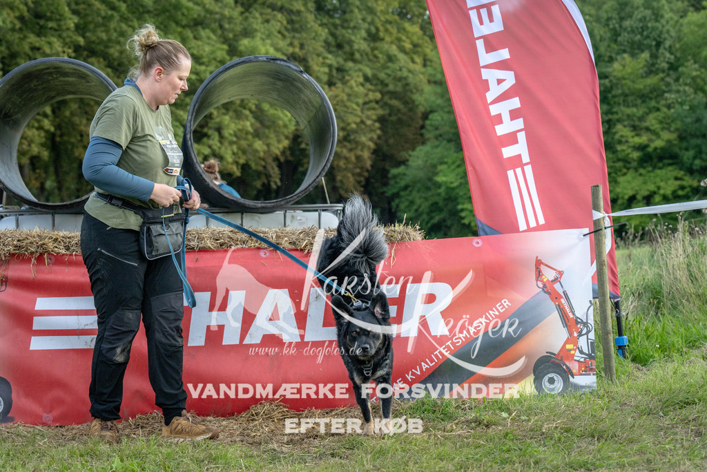 1053_ZZ93362 | kk-dogfotos