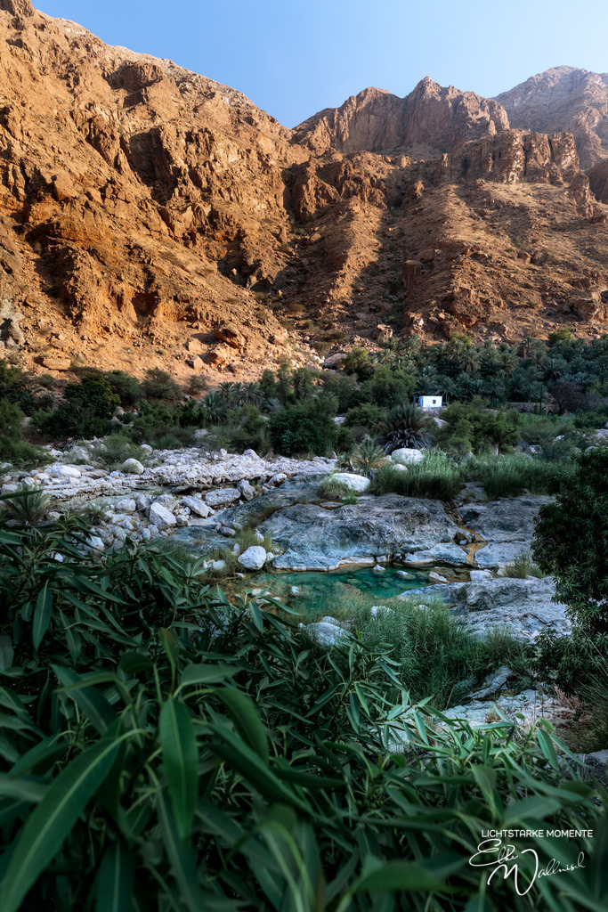 Wadi Tiwi, Oman | Herzlich willkommen auf meiner Seite! Ich bin Elke Wallnisch, Deine Fotografin für lichtstarke Momente. Der Name steht für alles, was mich mit der Fotografie verbindet: Das Licht und seine machtvolle Wirkung auf eine Situation oder unsere Stimmung - Realisiert mit Pictrs.com