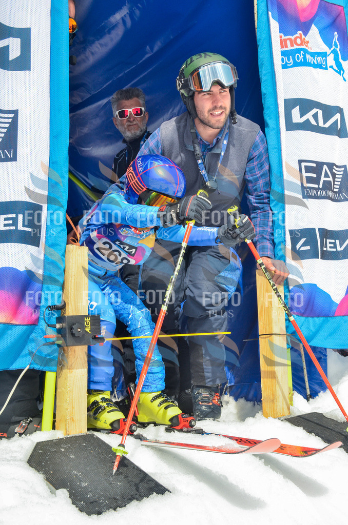 _ELE7773 | holidayphoto