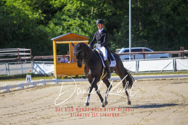 DKP42567 | Turniersportfotografie; Pferdefotografie; Dressurfotografie