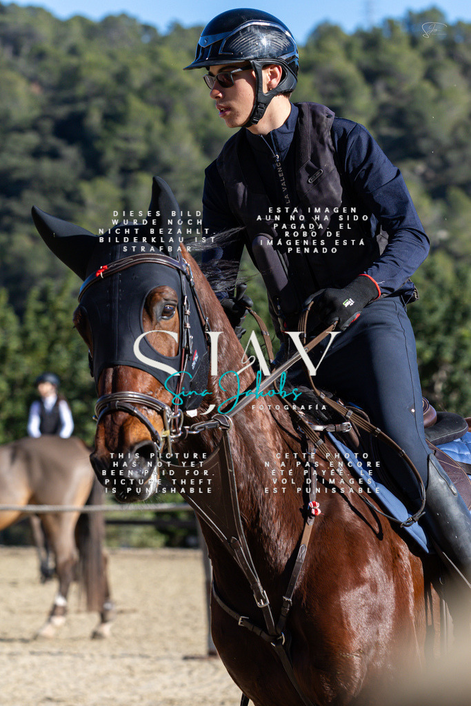 IMG_2142 | s-jay-photography - Realisiert mit Pictrs.com