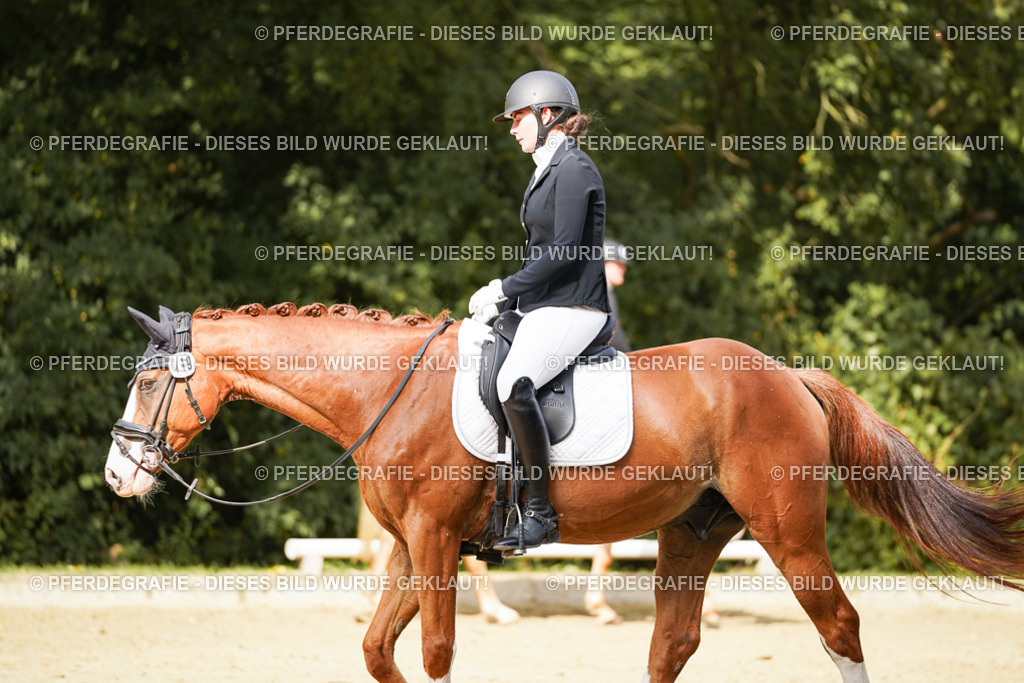 DSC03314 | Pferdegrafie