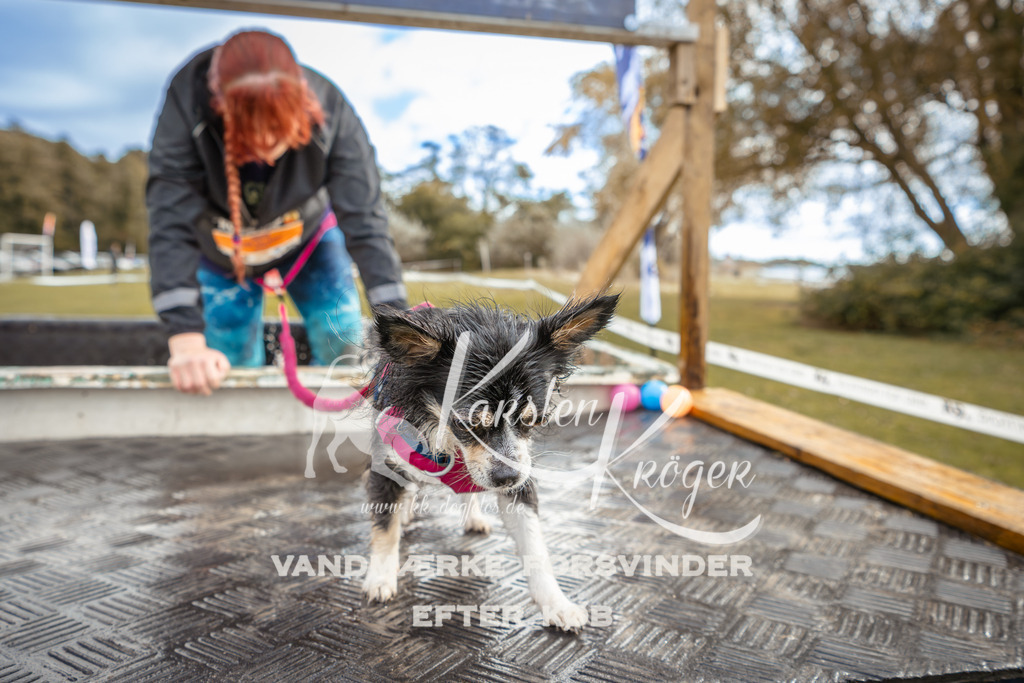 1343_ZZ91980-2 | kk-dogfotos