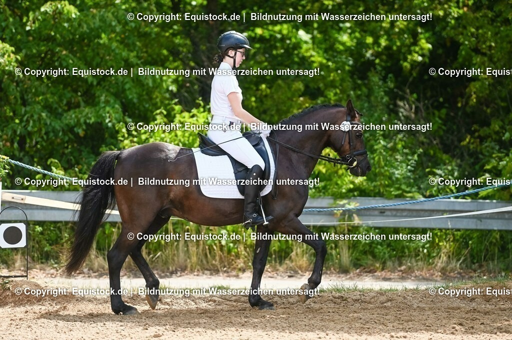 20230715_09_Dressur-WB_0210 | equistock