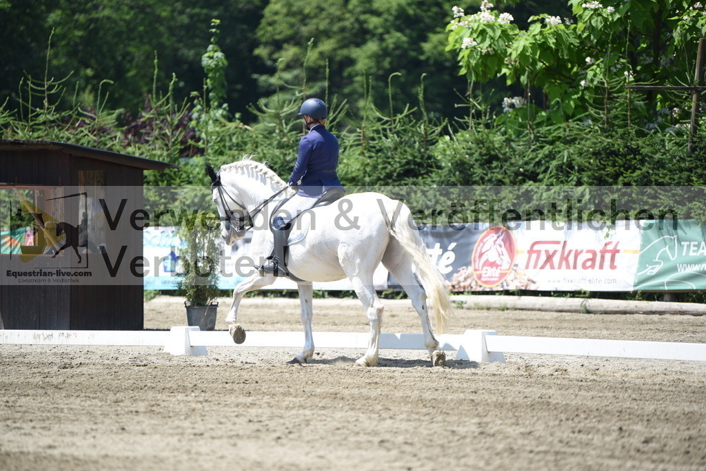 DSC_0323 | equestrian-live-com