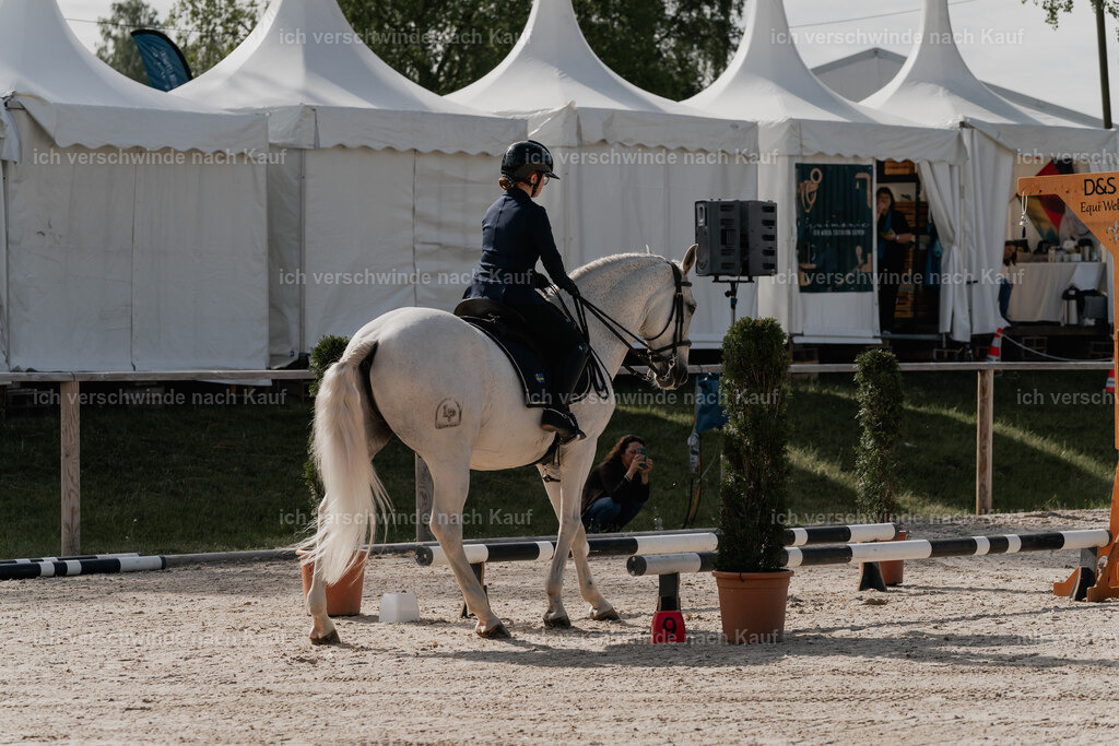 WE_ST_Stoib_328_PI2025_867 | Pferd International München 2025