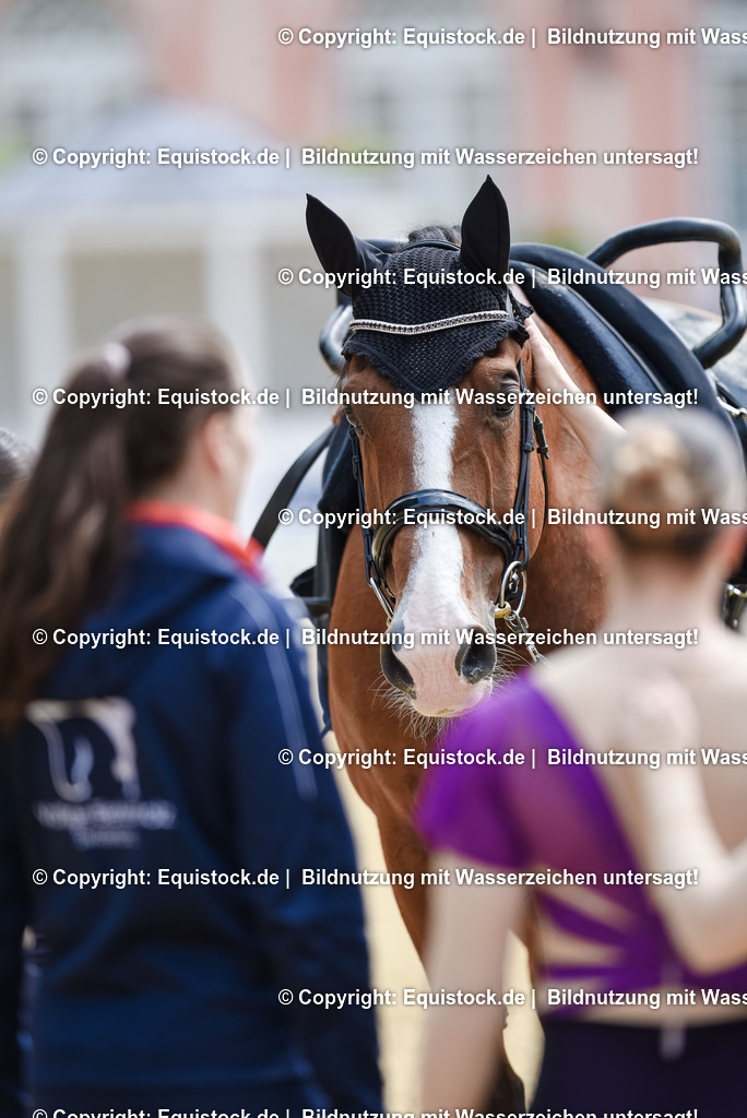 20250608_CVI-Masterclass_1120 | Foto: Thomas Hartig