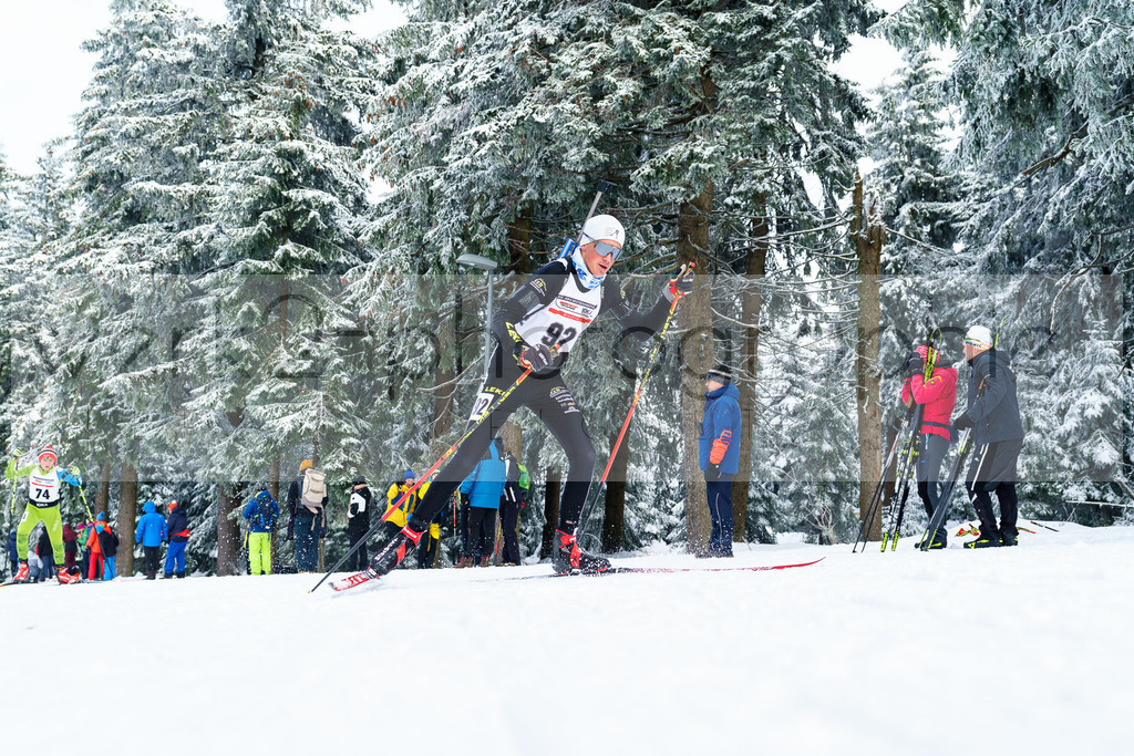 DP Oberwiesenthal | Alpencup/DP Deutschlandpokal in Oberwiesenthal am 15.-17.12.2023