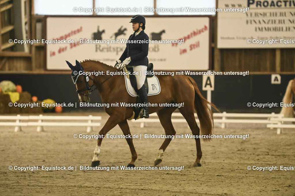 20231029_04_Dressur-WB_0012 | Foto: Thomas Hartig