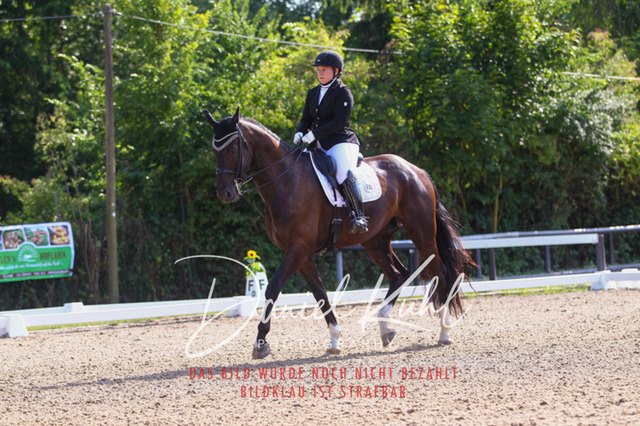 DKP41251 | Turniersportfotografie; Pferdefotografie; Dressurfotografie